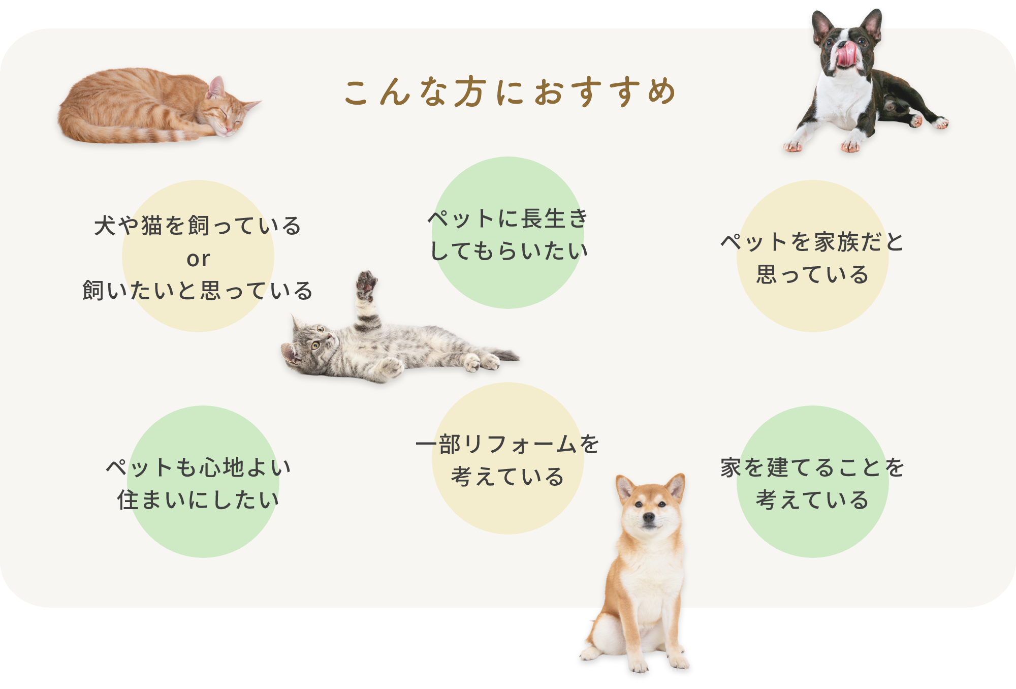 こんな方におすすめ